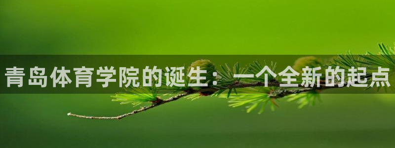 3377体育官网下载平台注册要钱吗安全吗：青岛体育学