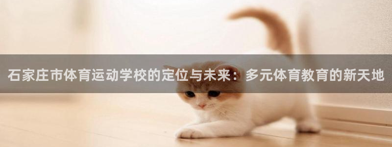 3377体育官方正版app集团：石家庄市体育运动学校