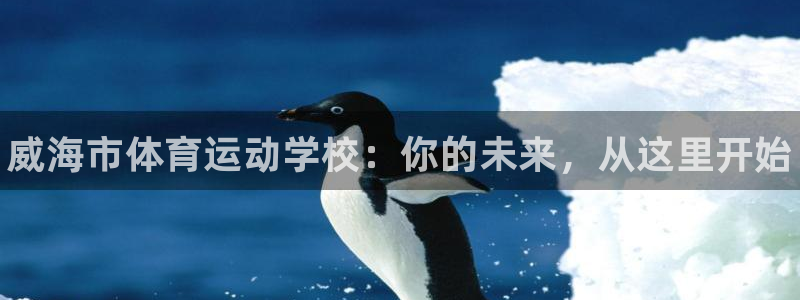 3377体育官方正版app娱乐首页网站大全：威海市体