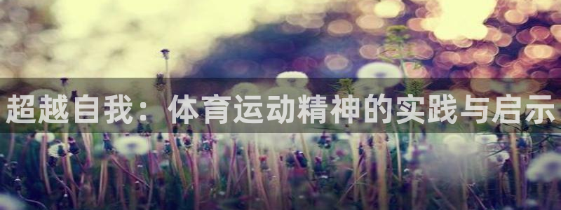 3377体育官方正版app娱乐首页网站大全：超越自我：体育运