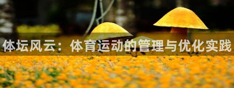3377体育官方集团官网：体坛风云：体育运动的管理与