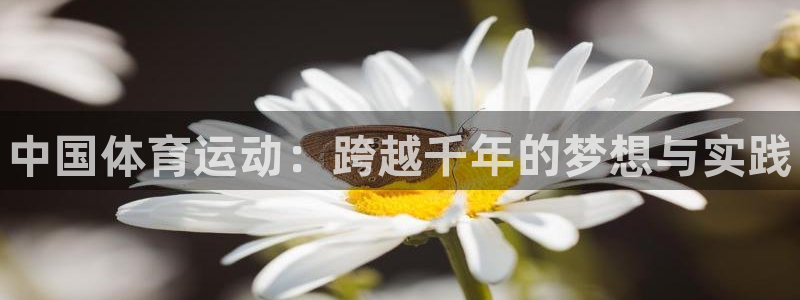 3377体育官网下载平台注册要钱吗：中国体育运动：跨
