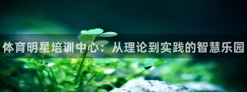 3377体育官网下载招商电话是多少号码：体育明星培训