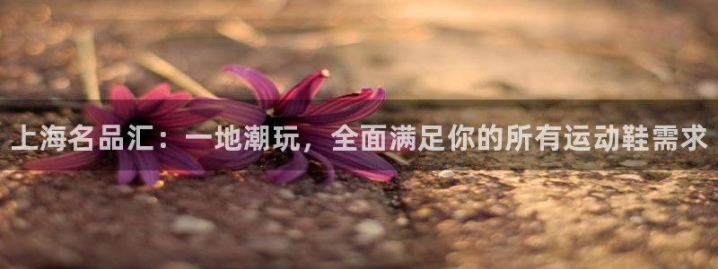 3377体育官网下载招商电话号码是多少：上海名品汇：
