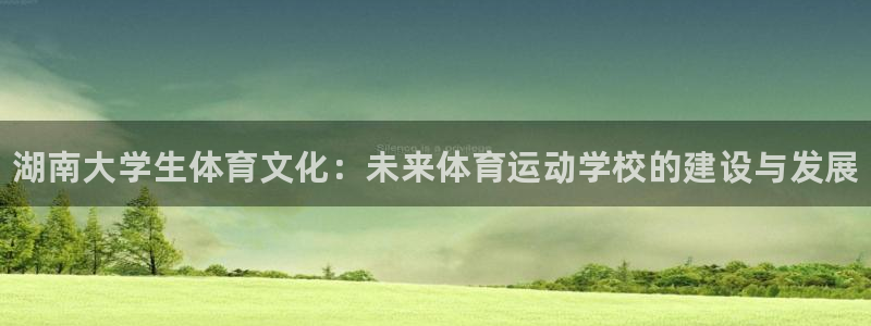 3377体育官方正版app集团E.ON：湖南大学生体育文化：