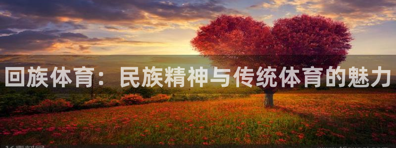 3377体育官方正版app科技