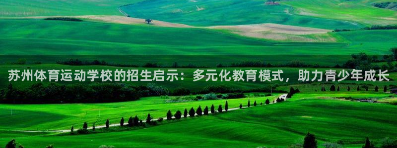 3377体育官方正版app集团简介