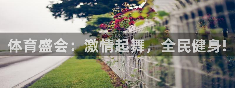 海南3377体育官网下载发展怎么样：体育盛会：激情起舞，全民