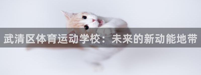 3377体育官网下载招商电话号码查询是多少