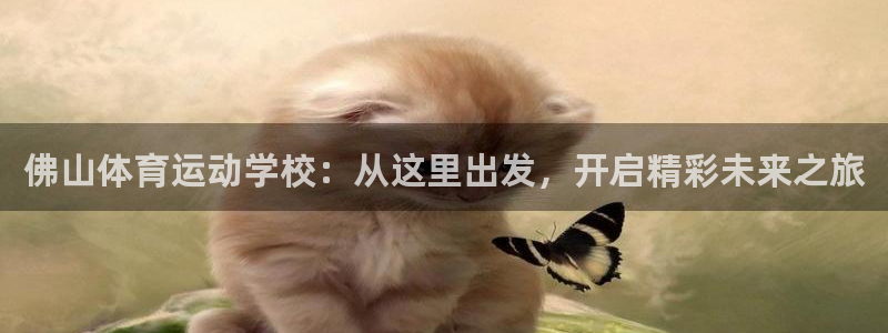 3377体育官网下载平台假的吗是真的吗：佛山体育运动学校：从