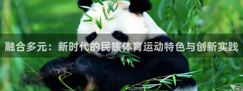海南3377体育官网下载发展怎么样：融合多元：新时代的民族体