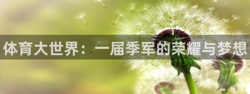 3377体育官网下载注册：体育大世界：一届季军的荣耀与梦想
