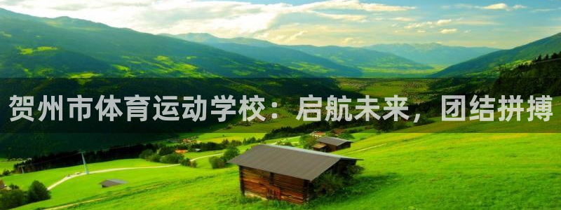 3377体育官网下载