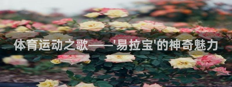 3377体育官方正版app神州