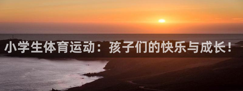 3377体育官网下载注册：小学生体育运动：孩子们的快乐与成长
