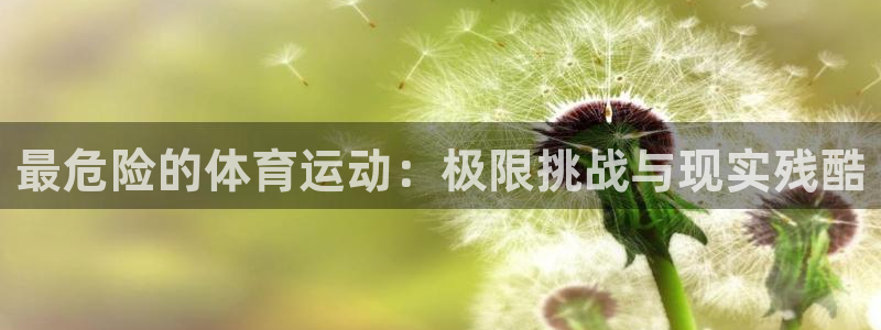 3377体育官方集团官网：最危险的体育运动：极限挑战与现实残