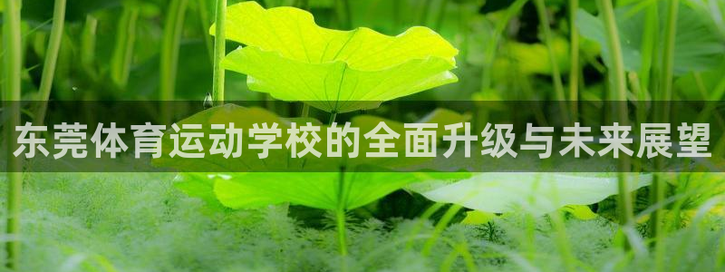 3377体育官方正版app娱乐代理怎么样：东莞体育运动学校的