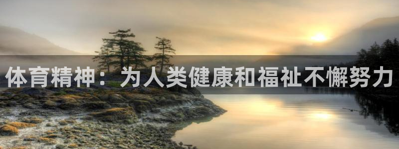 3377体育官方正版app开户