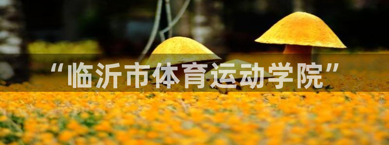 3377体育官网下载招商电话是多少号码