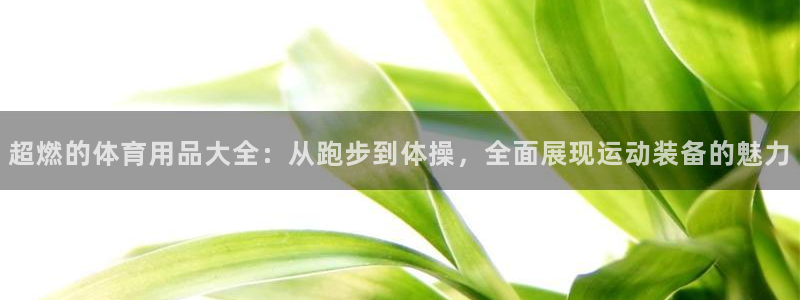 3377体育官网下载招商电话是多少号码：超燃的体育用品大全：