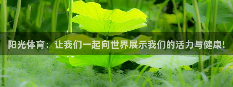 3377体育官网下载招商：阳光体育：让我们一起向世界