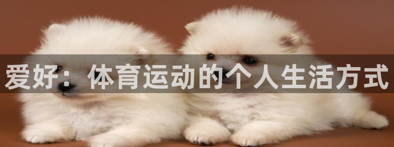 3377体育官方集团官网：爱好：体育运动的个人生活方式