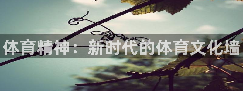 3377体育官方正版app集团E.ON：体育精神：新时代的体