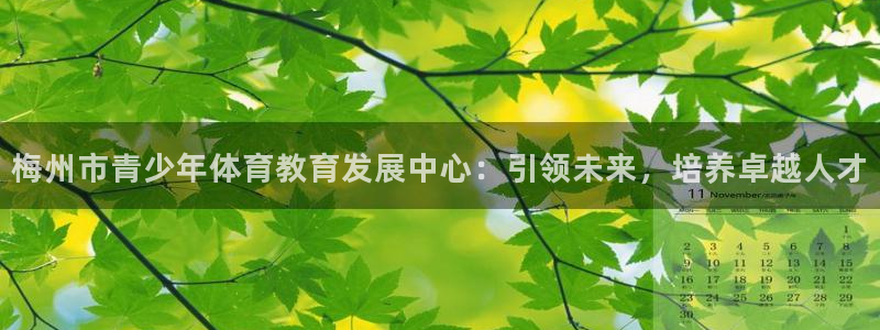 3377体育官网下载平台：梅州市青少年体育教育发展中心：引领