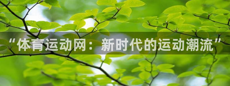 3377体育官方正版app集团官网首页