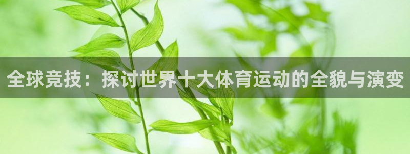 3377体育官网下载软件：全球竞技：探讨世界十大体育运动的全